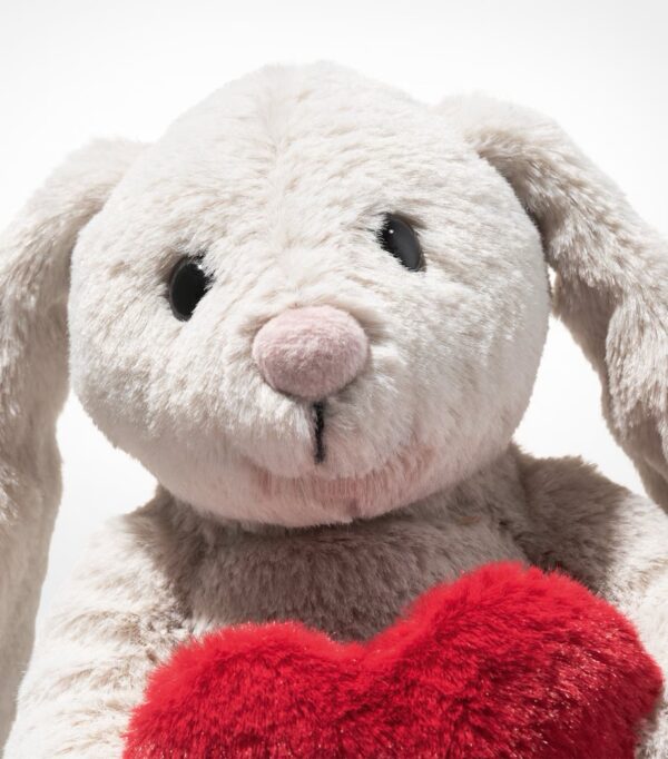 SFDB2610009-00_2 Steiff 跳跳兔之愛絨毛娃娃